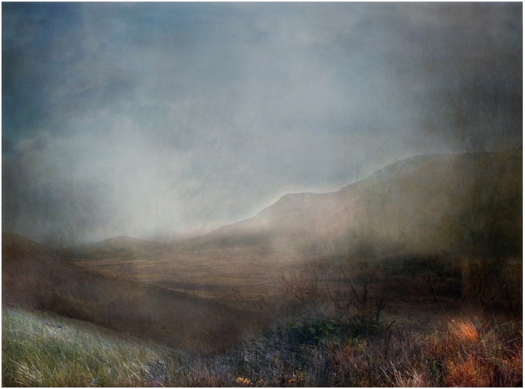 a light wind 95x125cm.jpg