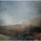 a light wind 95x125cm.jpg