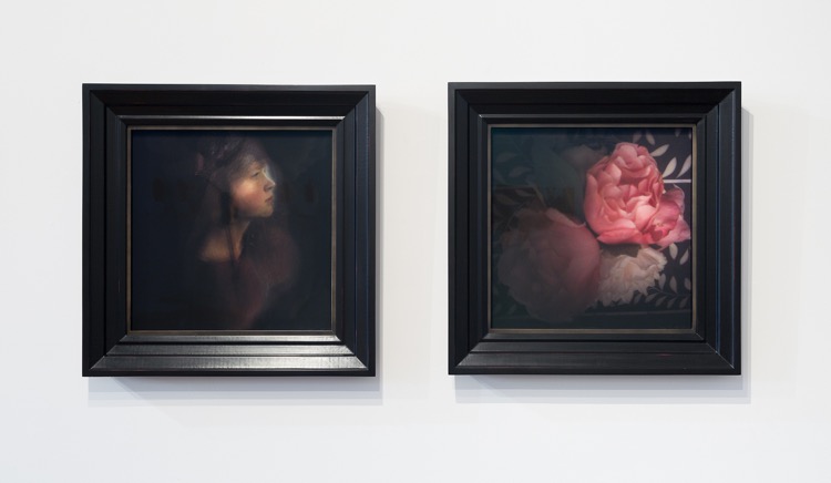 Isabel Camellia.jpg