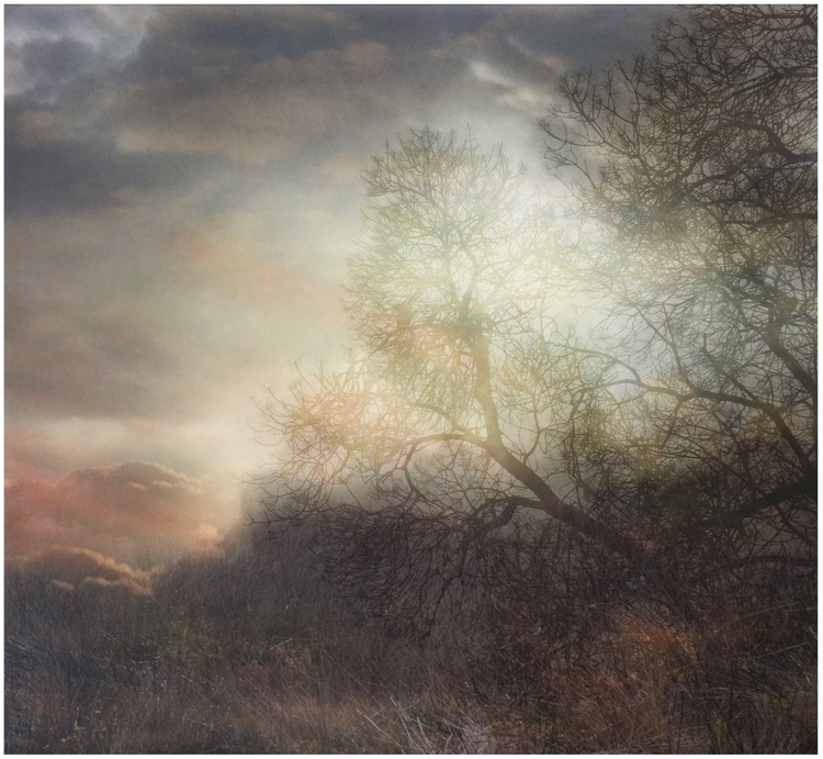 today tomorrow 40x43.45 cm.jpg