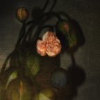 Poppies imagined 64x60cm.jpg