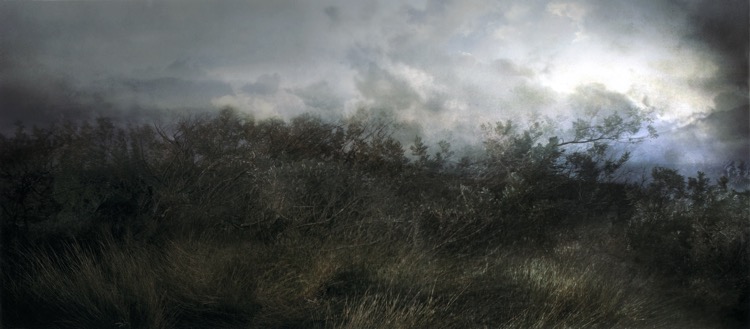 scrub 260 x 114cm and 63x144 cm.jpg
