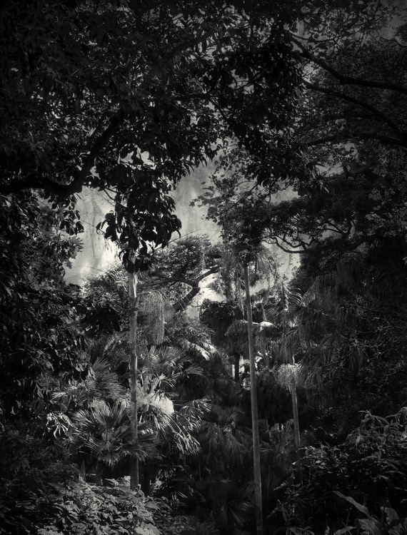 before dark II  56.5x43cm.jpg