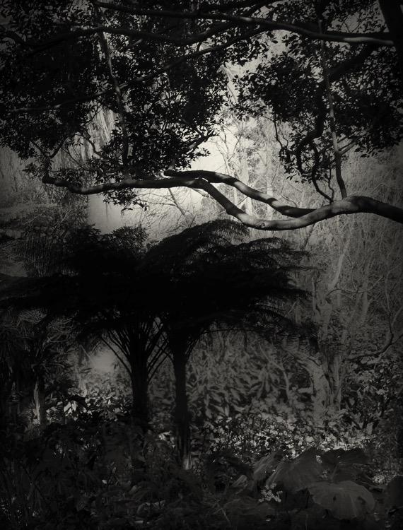 before dark VI 56.5x43cm.jpg