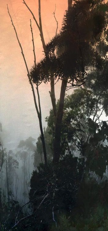 stillness III 74x40cm.jpg