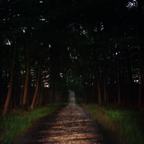 escaping backwards / pigment print / 55 x 82.2