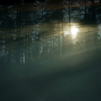 the shutting of the eye / pigment print / 55 x 92.2