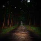 threadless way / pigment print / 55 x 80