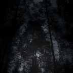 vast dark / pigment print / 55 x 88.6