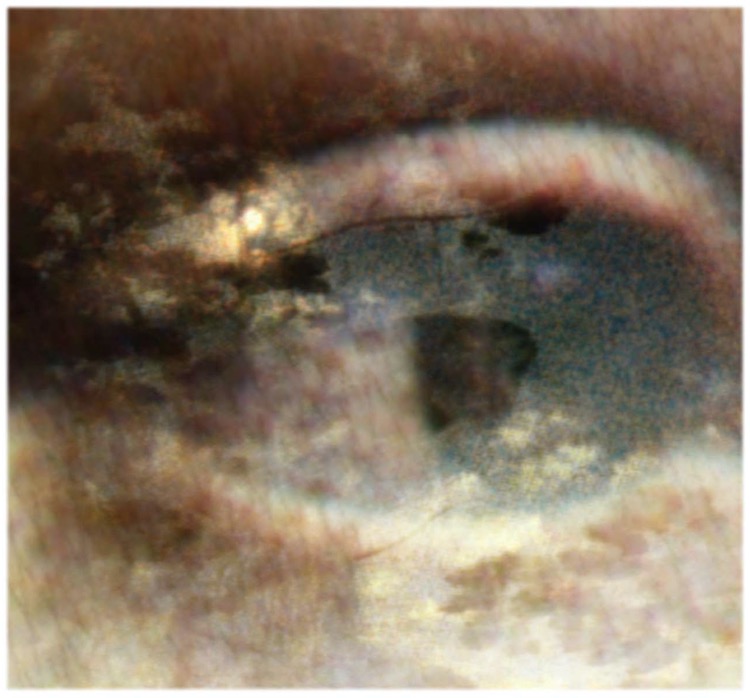 I will be your dream / pigment print / 57.7 x 62