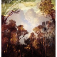 into the woods / pigment print / 57.5 x 50