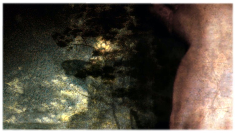 other dreams / pigment print / 58.5 x 107