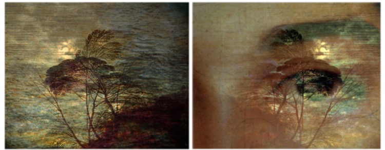 softly, softly / pigment print / 12.5 x 32