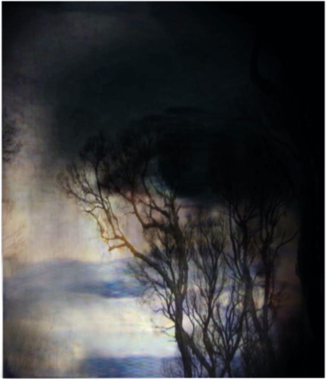 this was my dream / pigment print / 57.5 x 50