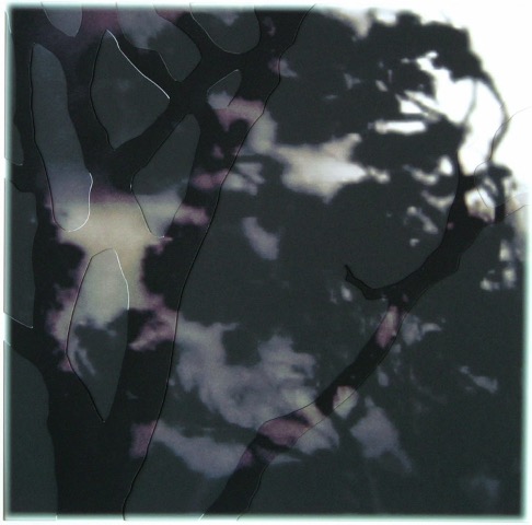 night forest / pigment print / 23.5 x 23