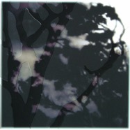 night forest / pigment print / 23.5 x 23
