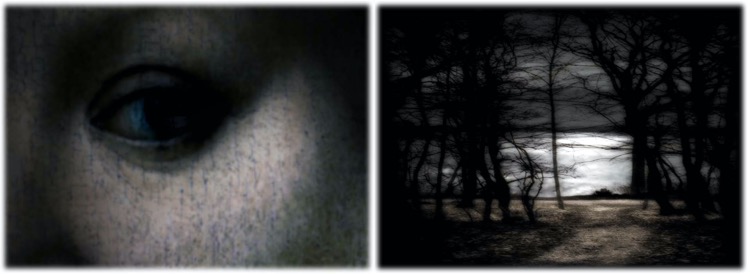 where shadows lie / pigment print / 11.5 x 33