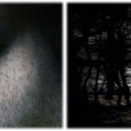 where shadows lie / pigment print / 11.5 x 33