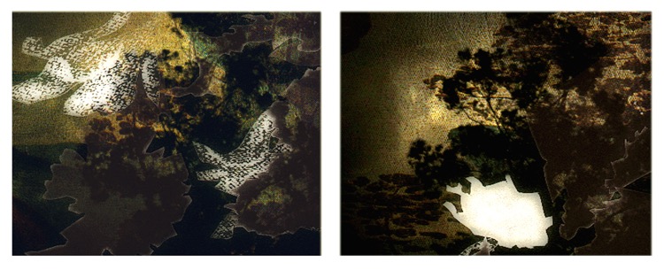 dreaming of a great forest 1 / pigment print / 14 x 36.5