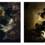 dreaming of a great forest 1 / pigment print / 14 x 36.5