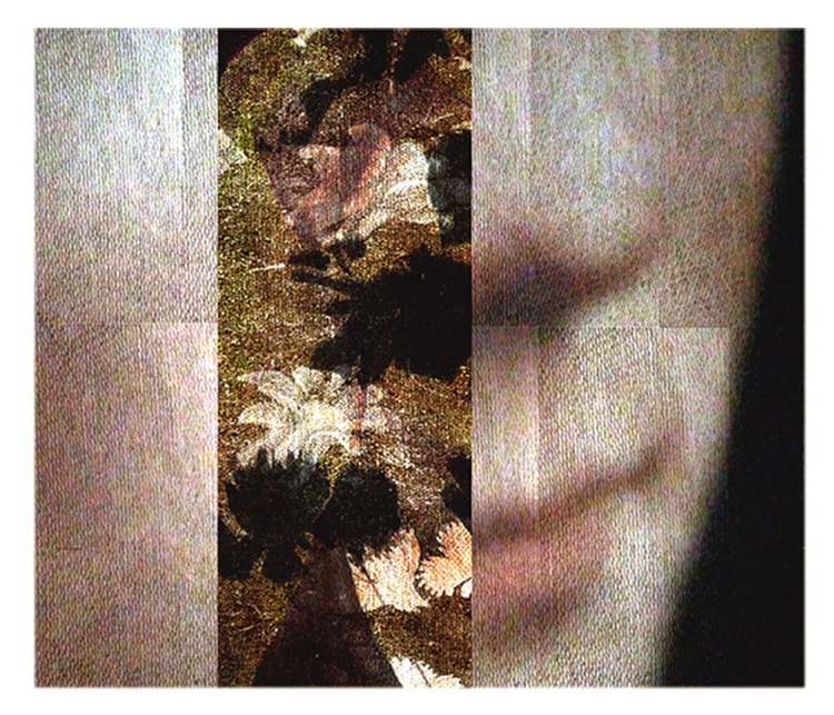 dreaming of a great forest 2 / pigment print / 24.5 x 35.5