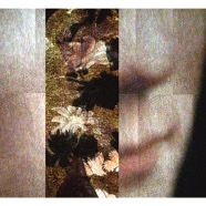 dreaming of a great forest 2 / pigment print / 24.5 x 35.5