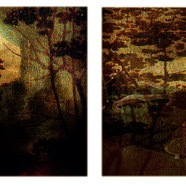 dreaming of a great forest 3 / pigment print / 13.5 x 35.5