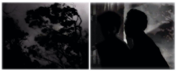 night reflection #1 (variation) / pigment print / 46 x 118