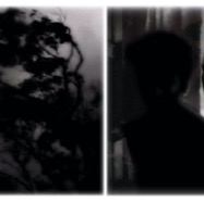 night reflection #1 (variation) / pigment print / 46 x 118