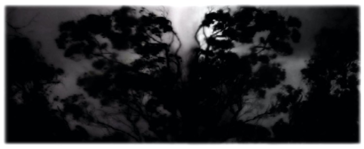 night reflection #2 (variation) / pigment print / 46 x 118