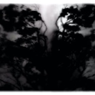 night reflection #2 (variation) / pigment print / 46 x 118