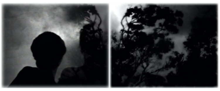 night reflection #3 (variation) / pigment print / 46 x 118