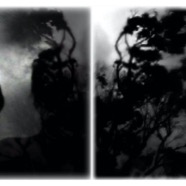 night reflection #3 (variation) / pigment print / 46 x 118