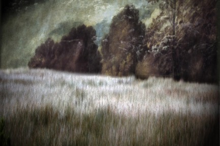 the return (dream landscape) / pigment print / 41 x 60