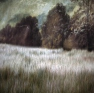 the return (dream landscape) / pigment print / 41 x 60
