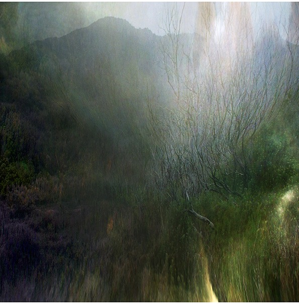 long shadows / pigment print / 21 x 21