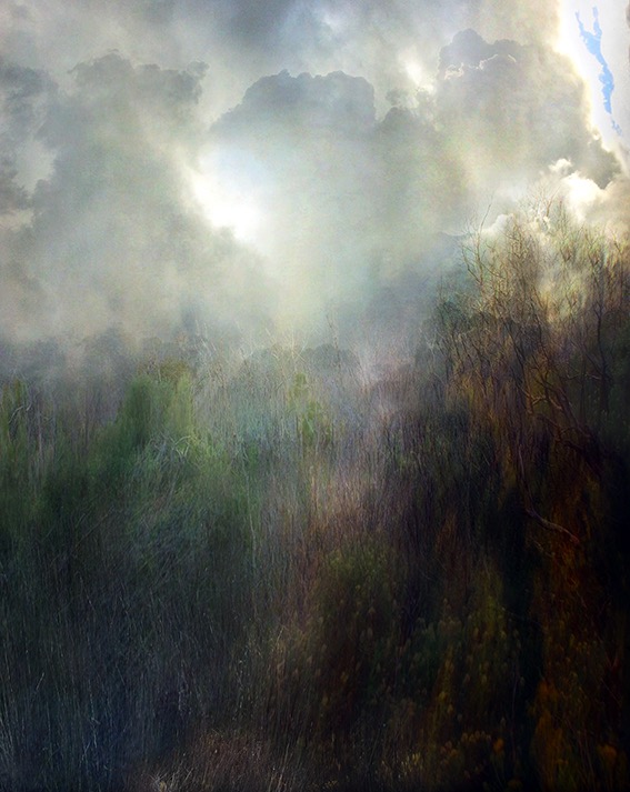 view II / pigment print / 90 x 75.8