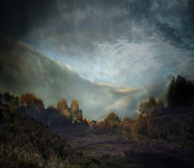 clearing / pigment print / 37 x 42.7