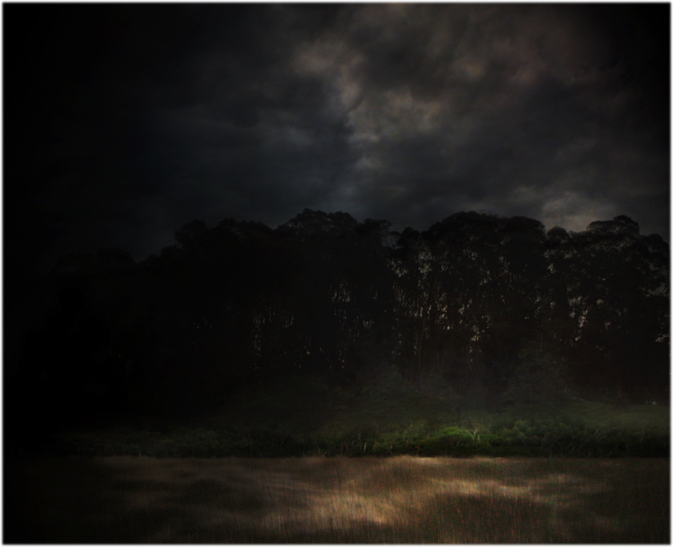 courage / pigment print / 80 x 98